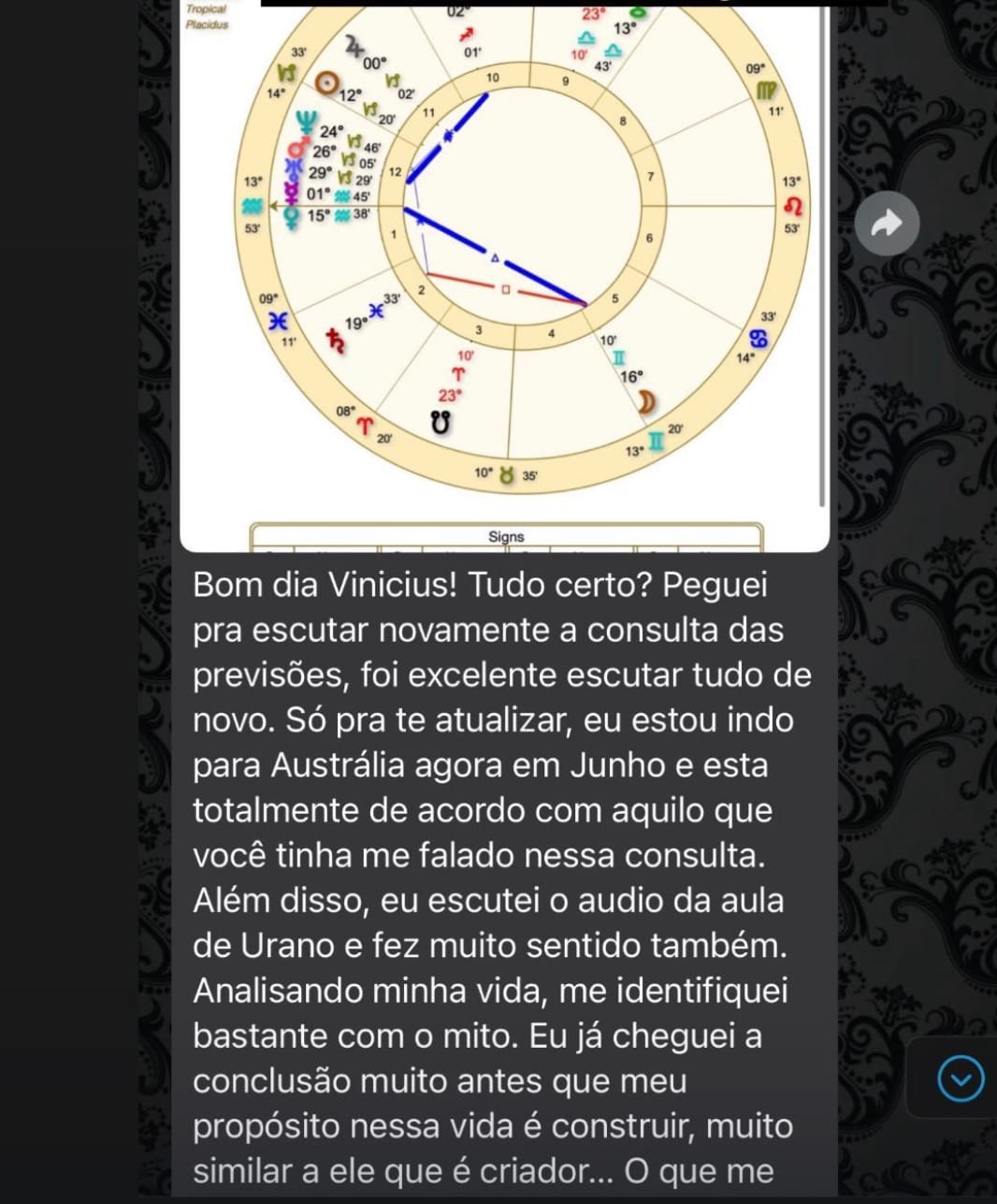 IMG_3902 2 Mapa Astral Zodiacvini