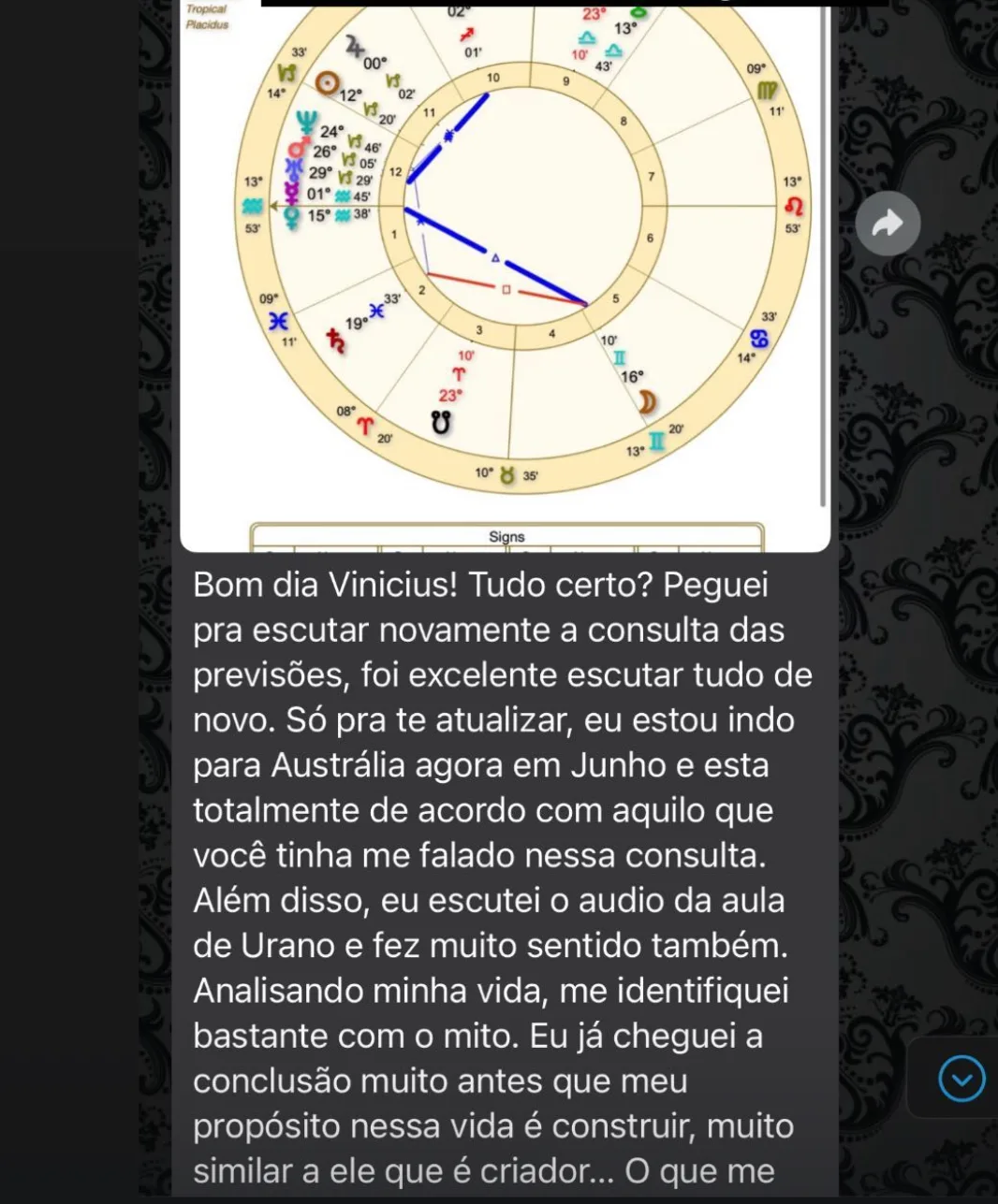 IMG_3902 2 Mapa Astral Zodiacvini